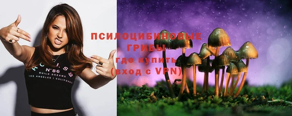 spice Алексеевка