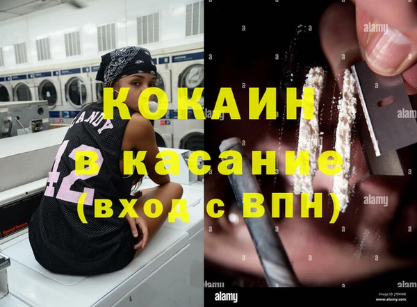 ГАЛЛЮЦИНОГЕННЫЕ ГРИБЫ Алексин